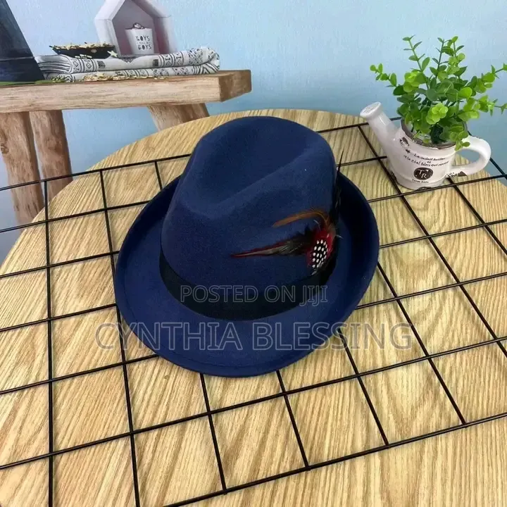 Fedora Hat With Feather Small Brim