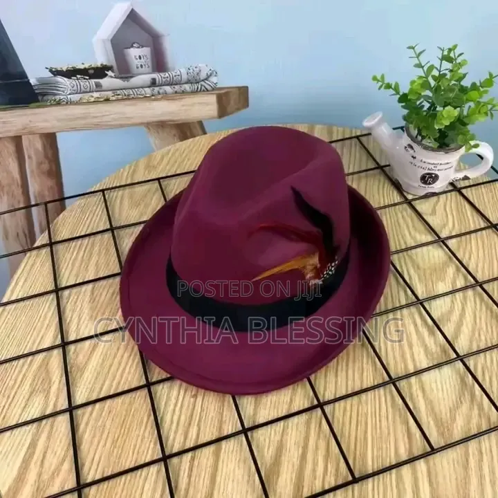 Fedora Hat With Feather Small Brim