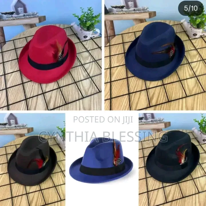 Fedora Hat With Feather Small Brim