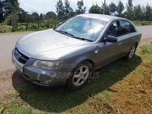 Hyundai Sonata 2005 Silver
