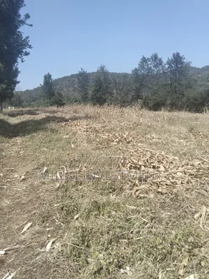 3.5 Acres of Land on Sale at Githûri Sagana Area Murang'a County