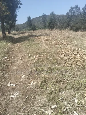 3.5 Acres of Land on Sale at Githûri Sagana Area Murang'a County