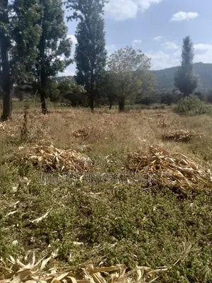 3.5 Acres of Land on Sale at Githûri Sagana Area Murang'a County