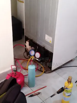 Fridge Repair Expert
