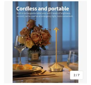 Modern Cordless Rechargeable Table Lamp Bedside Lamp
