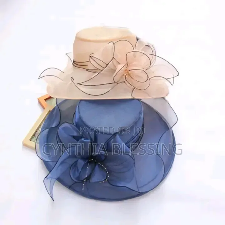 Elegant Women Hats