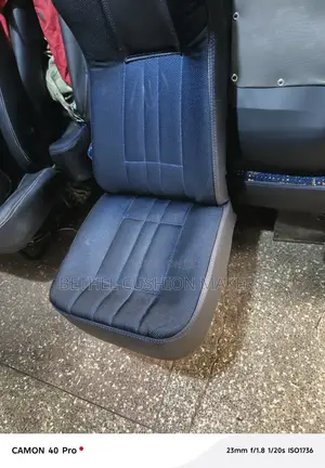 Vehicle Seats and Upholstery