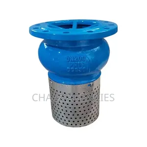 Foot Valve 10"
