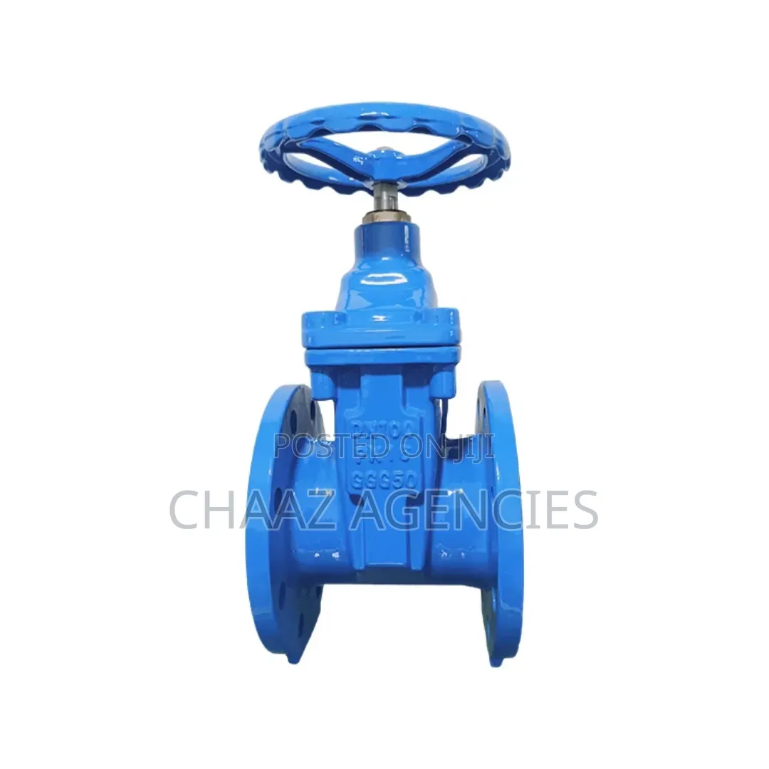 Sluice Valve 6"