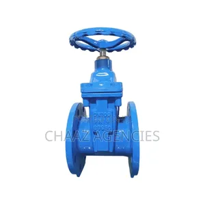 Sluice Valve 6"