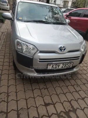Toyota Probox 2020 Silver