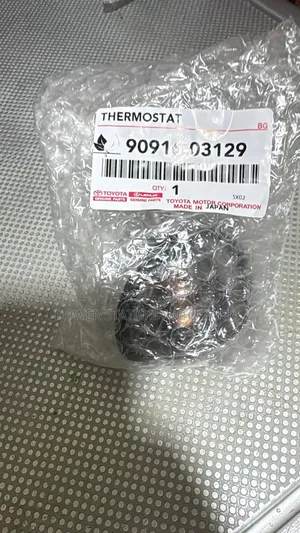 Toyota Prado J150 Thermostat