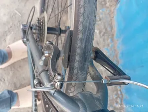 Spark Ride Crazy Racing 2020 Gray