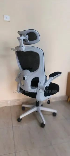 Ergonomic Chair(white-Black)
