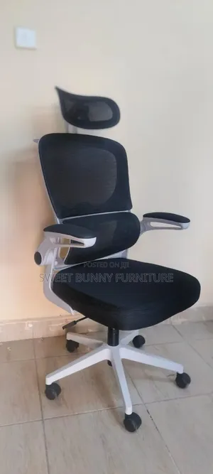 Ergonomic Chair(white-Black)