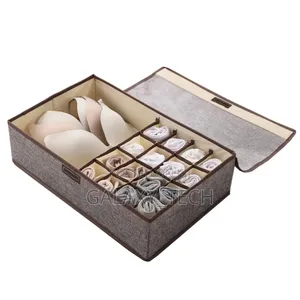 17 Grid Undergarment Organizer With Cover(3in1)