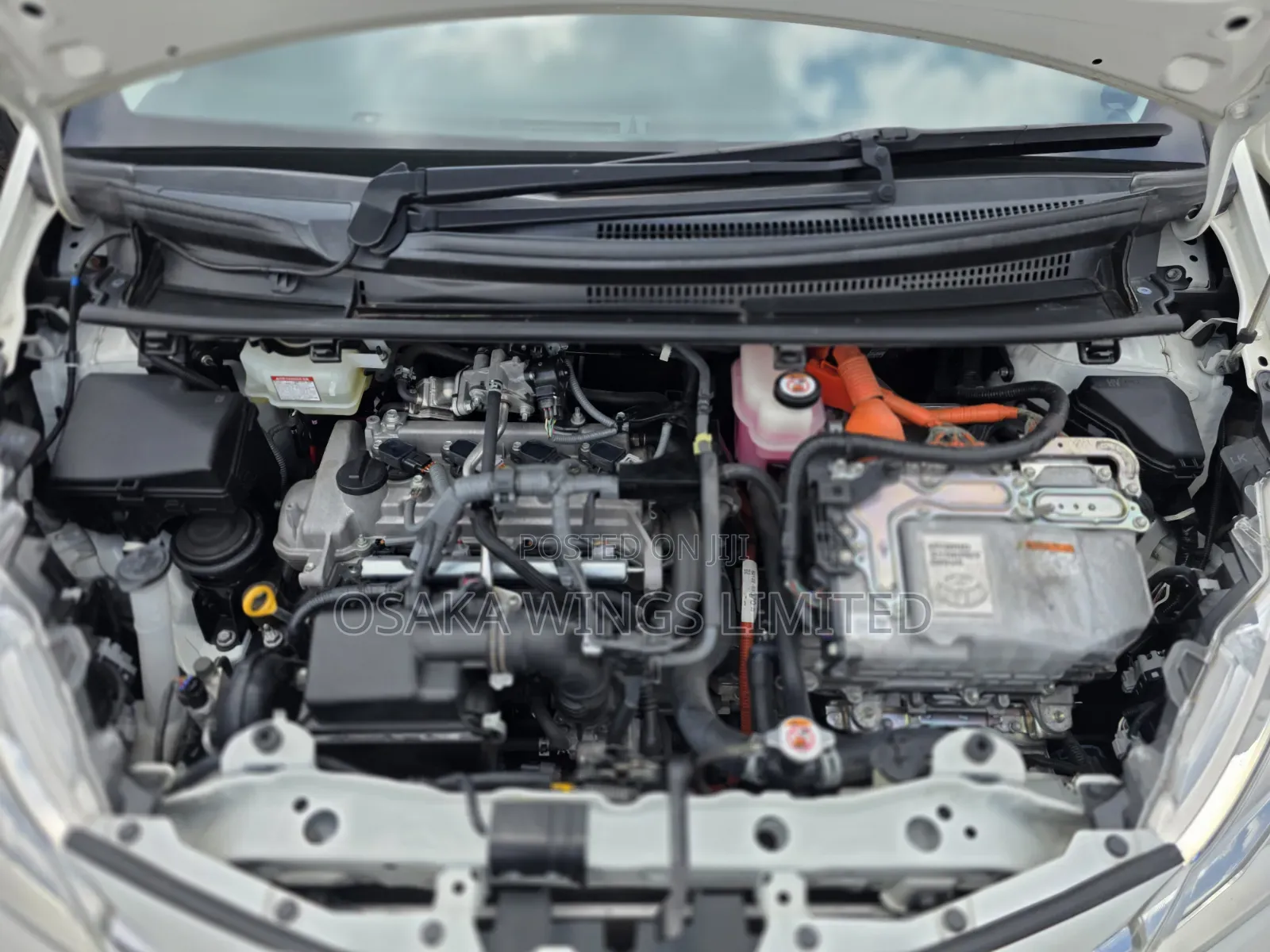 Toyota Vitz 2019 White