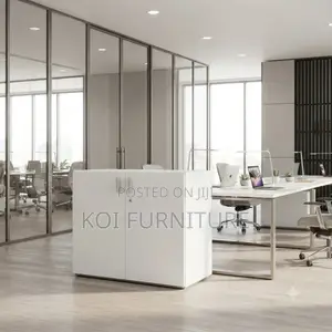 Office Cabinet; White Two Doors Executive Home Office Credenza