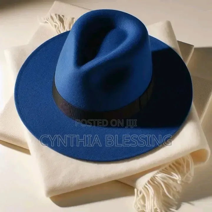 Blue Fedora Hat_f6v