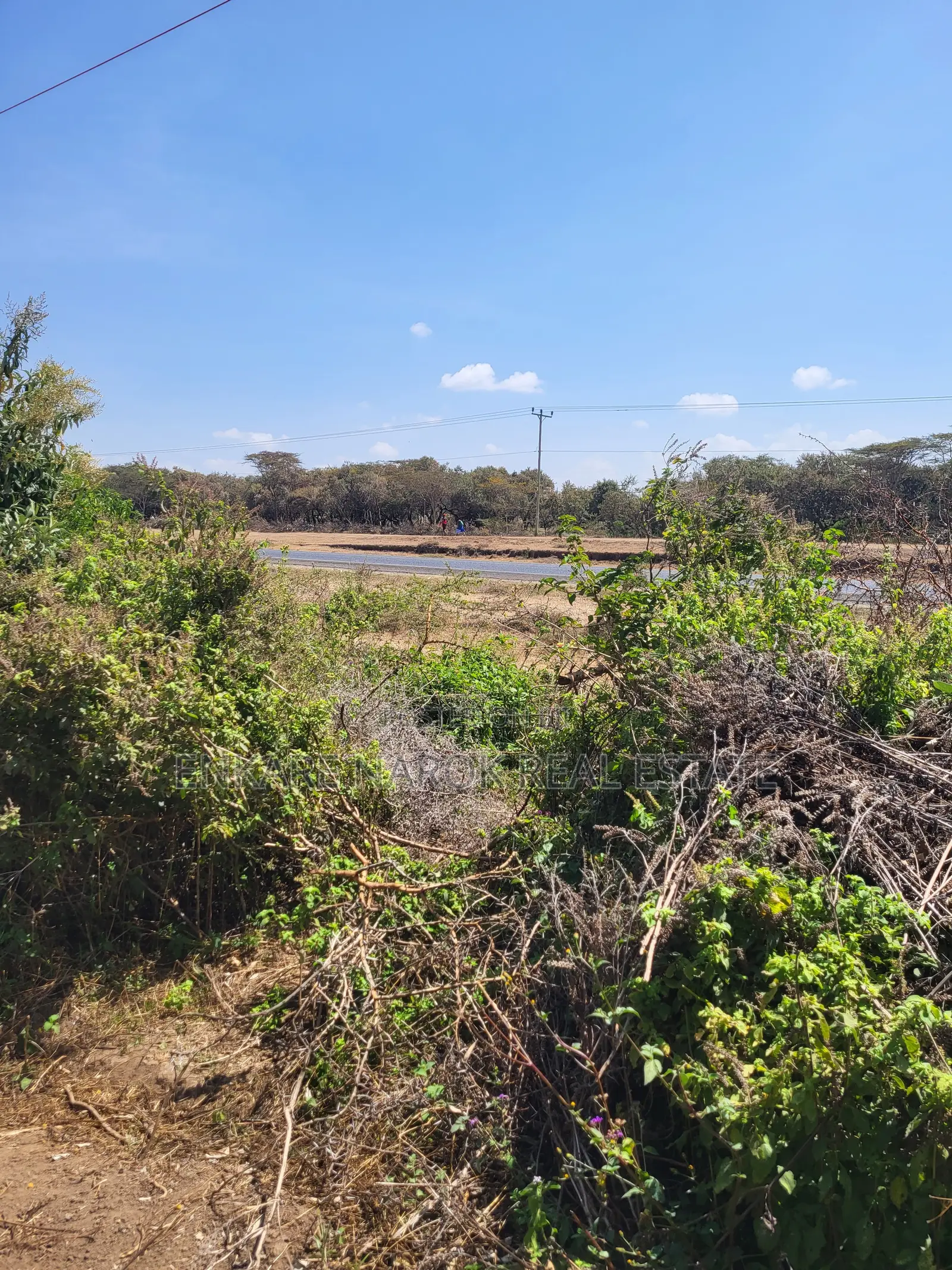 Road-Front 50×100 Plot for Sale Near Duka Moja on Narok–Bomet Rd — 2M