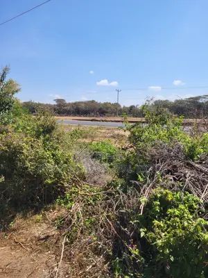 Road-Front 50×100 Plot for Sale Near Duka Moja on Narok–Bomet Rd — 2M