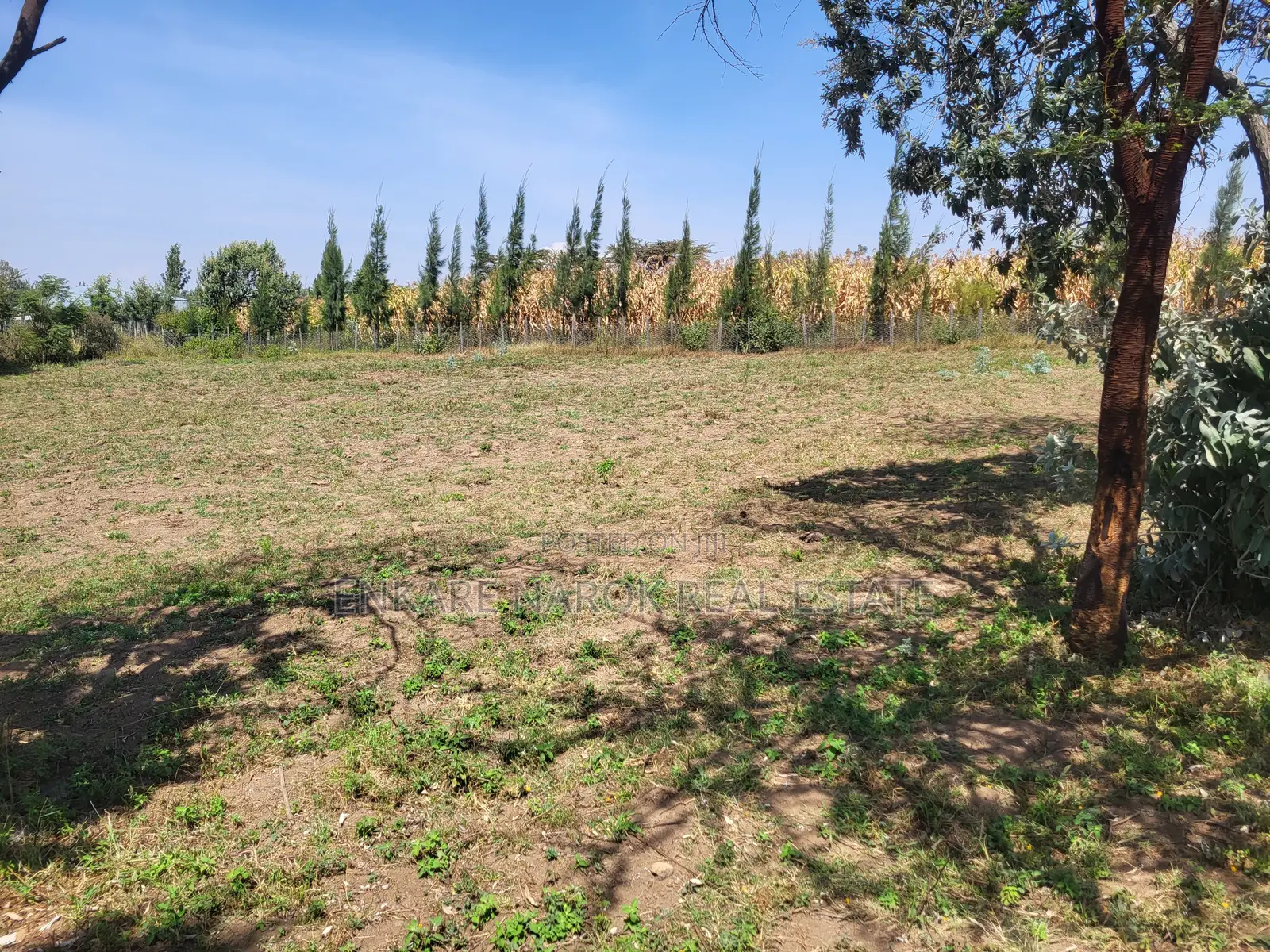 Road-Front 50×100 Plot for Sale Near Duka Moja on Narok–Bomet Rd — 2M