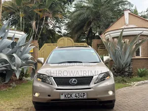 Lexus RX 2010 Beige