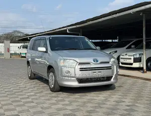 Toyota Probox 2020 Silver