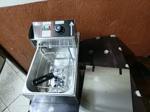 Stainless Steel Electric Deep Fryer for Restaurant Home