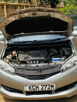 Toyota Wish 2010 Gray