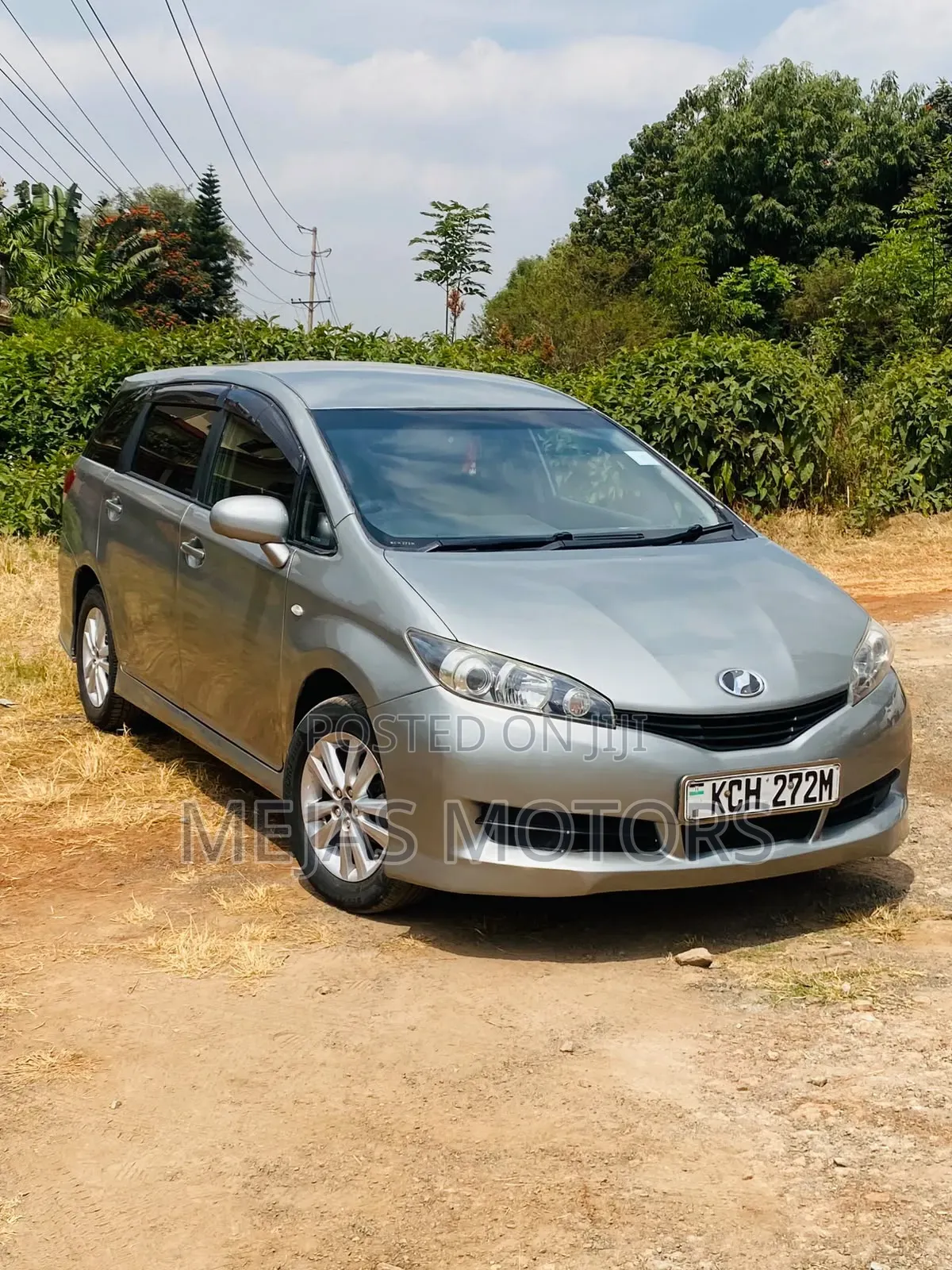Toyota Wish 2010 Gray