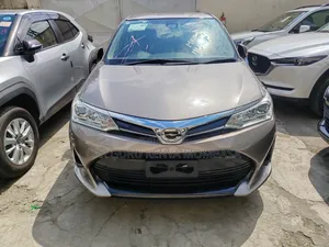 Toyota Axio 2019 Gray