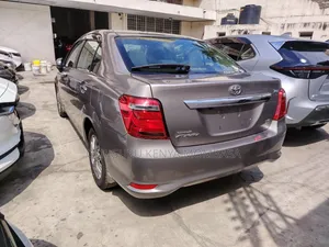 Toyota Axio 2019 Gray