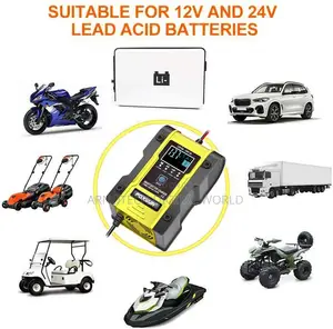 Quick Charger for Wet/Gel/Sla/LiFePO4/Lead-Acid/Agm Batteries