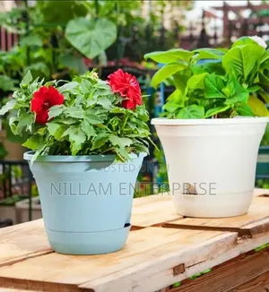 Plastic Flower Pot/ Planter