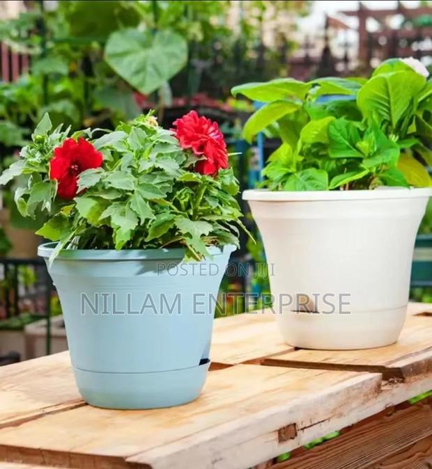 Plastic Flower Pot/ Planter - thumbnail 3