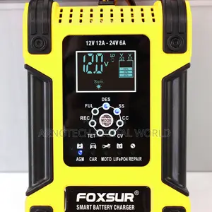 Quick Charger for Wet/Gel/Sla/LiFePO4/Lead-Acid/Agm Batteries