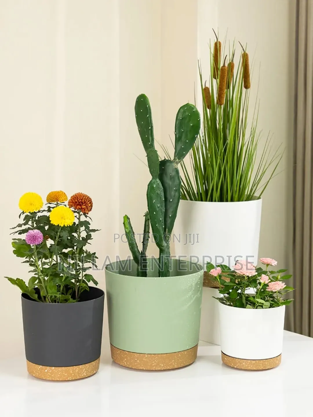 Plastic Planters