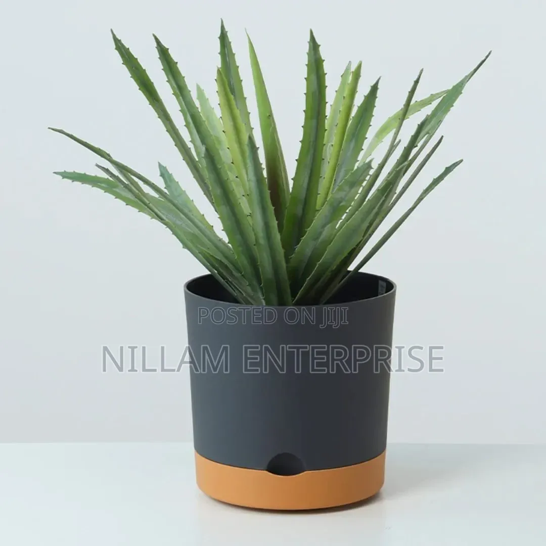 Plastic Planters
