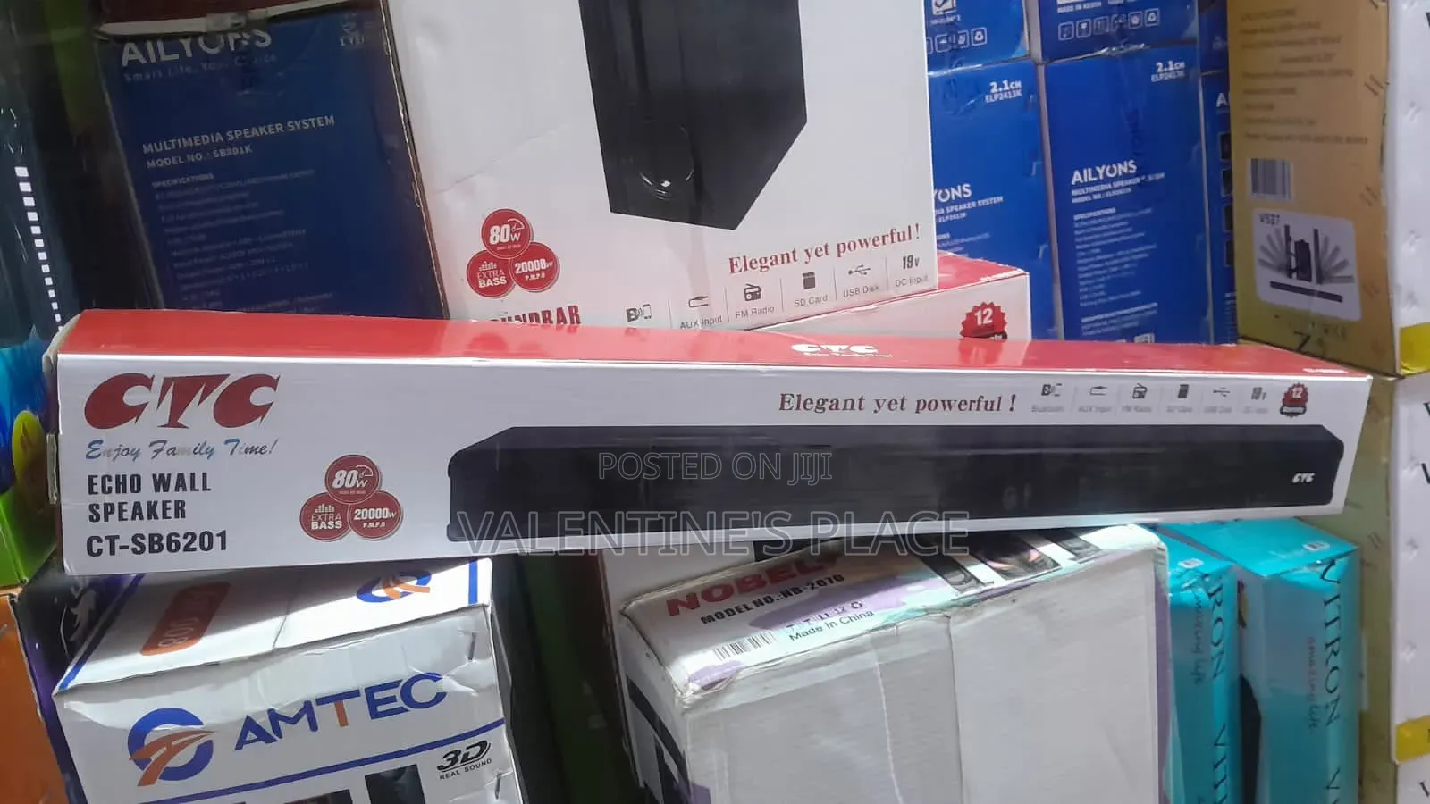 The CTC Echo Wall Speaker