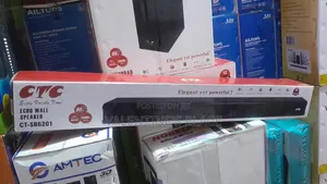 The CTC Echo Wall Speaker