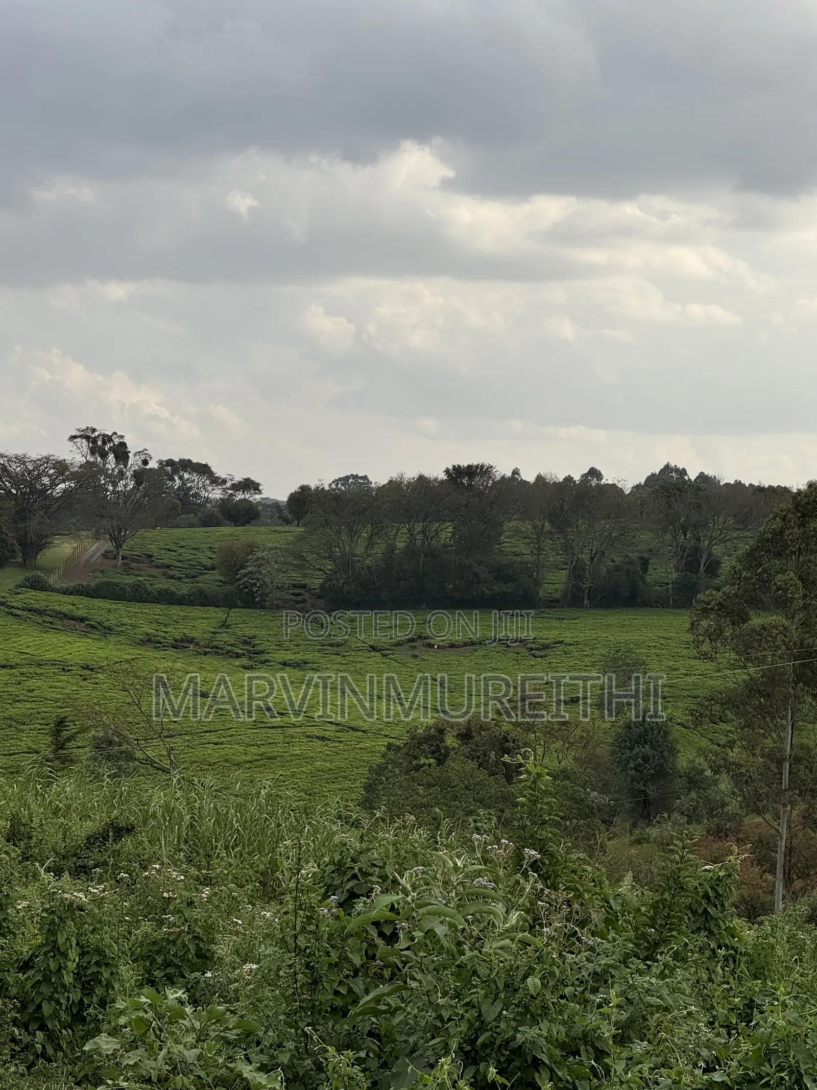 1/2 Acre Prime Land in Kentmare - TIGONI
