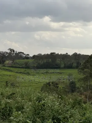 1/2 Acre Prime Land in Kentmare - TIGONI