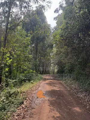 1/2 Acre Prime Land in Kentmare - TIGONI