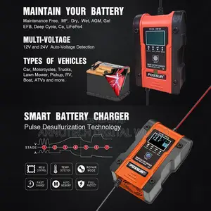 Automatic Pulse Repair Charger Pack for Gel Wet AGM Lithium LiFePO4