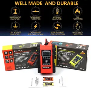 Automatic Pulse Repair Charger Pack for Gel Wet AGM Lithium LiFePO4