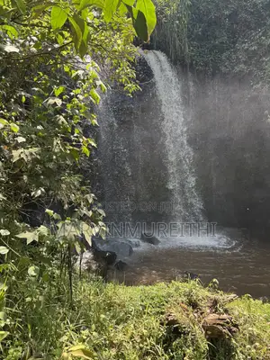 1/2 Acre Prime Land in Kentmare - TIGONI