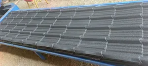 Ushindi Versatile