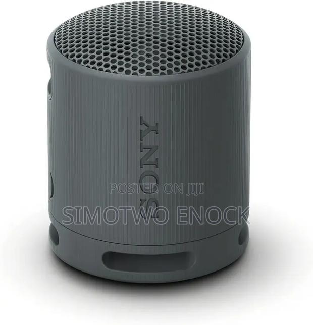 Sony SRS XB100 Portable Wireless Speaker Slightly Used
