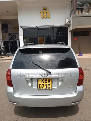 Toyota Corolla Fielder 2006 Silver